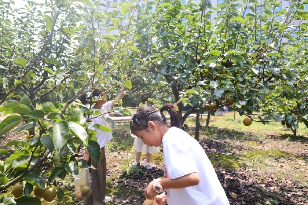 5171726107759576.jpg 图片2_副本-1.jpg